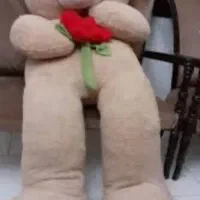 گل و خرس های ولنتاین