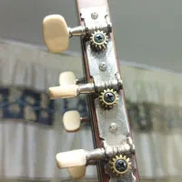 گیتار c40|گیتار، بیس، امپلیفایر|مشهد, میعاد (شهرک غرب)|دیوار