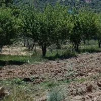 فروش-باغچه-شهری-1500-در-دشت-ارژن