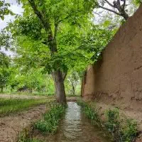 فروش-زمین-گجوت