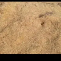 کاه گندم دیم