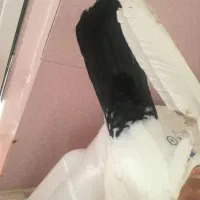 دو جفت کفتر خوب|پرنده|شیراز, کوشک میدان|دیوار