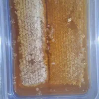 عسل به شرط و تضمینی|خوردنی و آشامیدنی|یاسوج, |دیوار