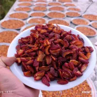 برگه آلو سیاه|خوردنی و آشامیدنی|شیراز, فضل‌آباد|دیوار