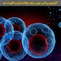 روش درمانی با سلول بنیادی یا اگزوزوم از خون فرد|خدمات آرایشگری و زیبایی|مشهد, بهشت|دیوار