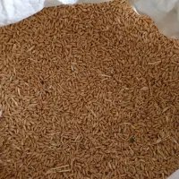 گندم و ذرت خرد شده