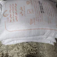 دان پارس مرغ گوشتی