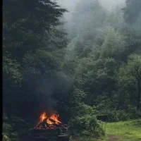 کود گوسفندی