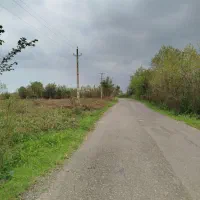 1-هکتار-زمین-کاملا-کفی-آسفالت-و-انشعابات-پای-زمین