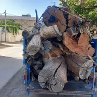 خرید چوب وهرس باغ