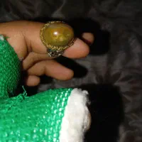 سلیمانی پرچشم