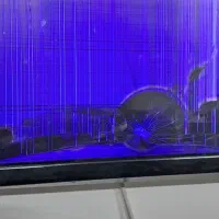 تلویزیون ال جی|تلویزیون و پروژکتور|مشهد, ایوان|دیوار