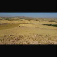 4-هکتار-زمین-با-چاه-مجوز-دار-و-6-هزارمترمجوزگلخانه