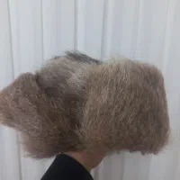 کلاه روسی پوست طبیعی (کلکسیونی)|لباس|قروه, |دیوار