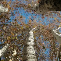 ویلایی-175-متری-دو-نبش