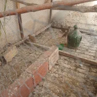 بلدرچین آواز خان