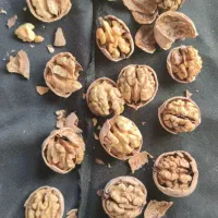 گردوی پوست گاغذی مغز سفید|خوردنی و آشامیدنی|شاهین دژ, |دیوار