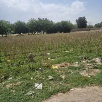 زمین-باغی