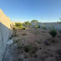 باغچه ۲۵۰ متری پرندک