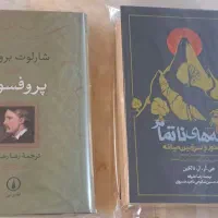 کتاب پروفسور و قصه های ناتمام