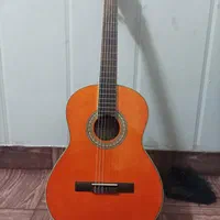گیتار حرفه ای با کیف پایه