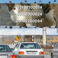 خط همراه اول دائمی و اعتباری بیلبوردی واقعی