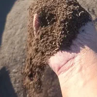 کود کمپوست وکود ورمی کمپوست پرلیت