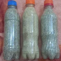 بذر کشاورزی