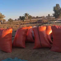 فروش صدعدد گونی کاه گندم پر شده آماده