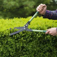 استخدام باغبان در شرکت دیجی اکسپرس(بیمه&مزایا)