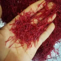 زعفران نگین سرگل و پوشال