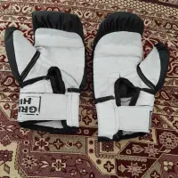 دستکش بوکس