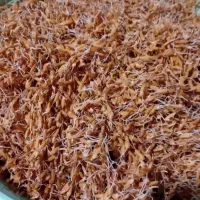 جو جوانه زده علی کاظمی