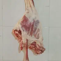 گوشت بره نرینه