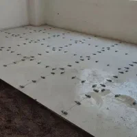 همکار کاشیکار