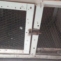جفت کن کبوتر|لوازم جانبی حیوانات|کرج, شاهین‌ویلا|دیوار