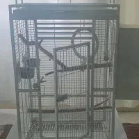قفس پرنده .لانه و قفس بزرگ کاسکو