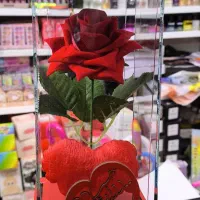 گل چراغ دار (کادویی شهرعروسک)|گل مصنوعی|کرمانشاه, |دیوار