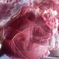 گوشت گوساله گرم