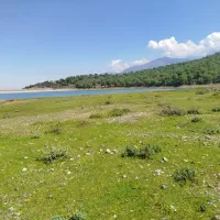 از گلستان برنج فجراصل میفرستم درجه1 ارسال رایگان