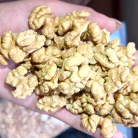 گردو و مغز گردو تازه و با کیفیت