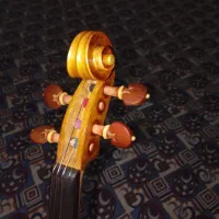 ویلن دست ساز|ویولن|ارومیه, |دیوار