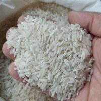 برنج طارم فجر ممتاز