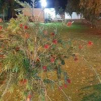 باغ ویلا اهواز|اجارهٔ کوتاه‌مدت ویلا و باغ|اهواز, اهواز|دیوار