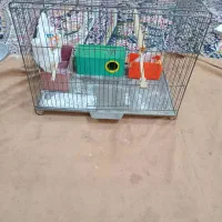 قفس پرنده