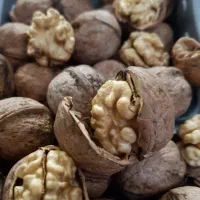 خرید فروش گردو