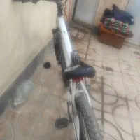 ارزون میدم برای اینکه به پولش نیاز دارم