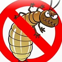 سم پاشی حشرات وجانوران موذی