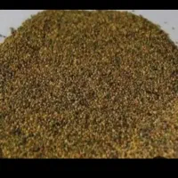 تیم شبدر بومی بدون گل