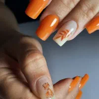 هدیه مابه شما لنزناخن.خدمات تخصصی ناخن|خدمات آرایشگری و زیبایی|رباطکریم, رباطکریم|دیوار